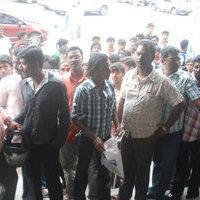 Vijay Fans at Devi Cinemas - Pictures | Picture 105478